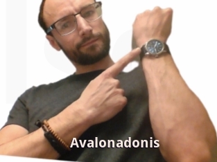 Avalonadonis