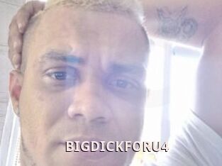 BIGDICKFORU4