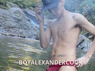 BOYALEXANDERCOCK