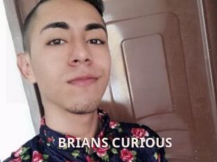 BRIANS_CURIOUS