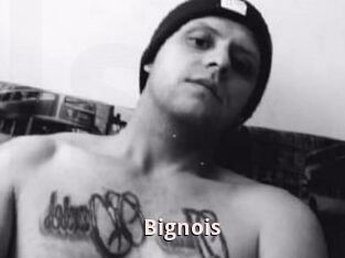 Bignois