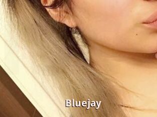 Blue_jay