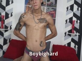 Boybighard