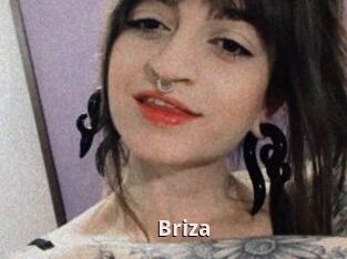 Briza