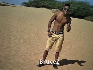 BruceZ