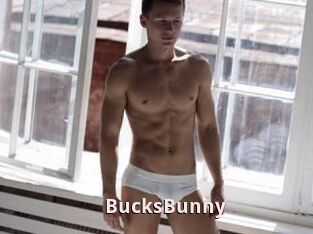 BucksBunny