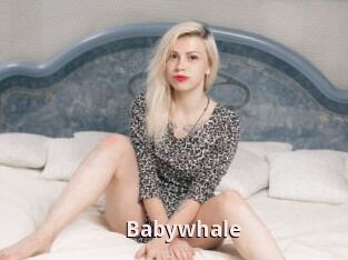 Babywhale