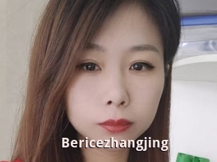 Bericezhangjing