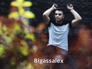 Bigassalex