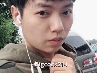 Bigcock214