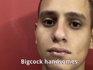Bigcock_handsomes