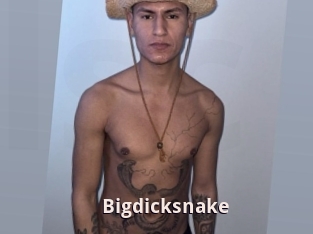 Bigdicksnake