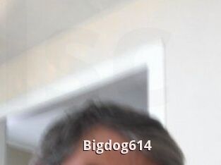 Bigdog614
