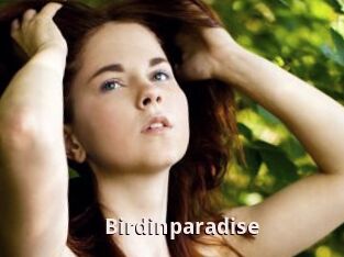 Birdinparadise