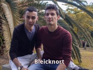 Bleicknort