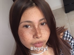 Bleydys