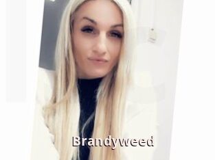 Brandyweed