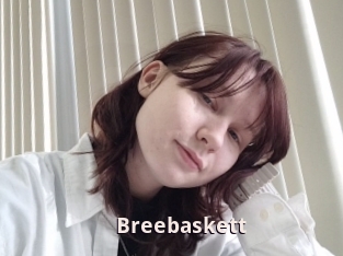Breebaskett