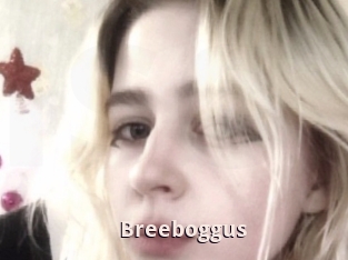 Breeboggus