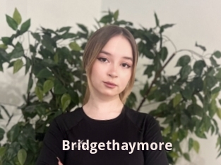 Bridgethaymore