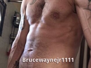 Brucewaynejr1111