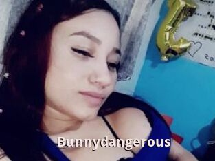 Bunnydangerous
