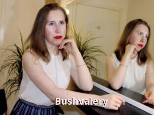 Bushvalery
