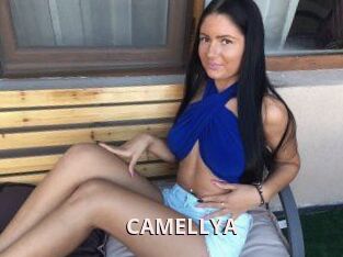 CAMELLYA_