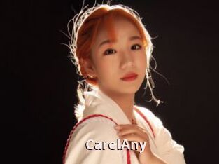 CarelAny