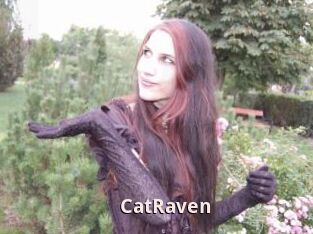 CatRaven