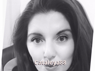Cataleya88