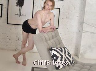 CliffBridges