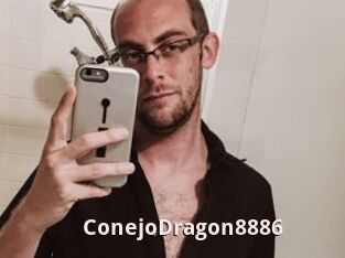 ConejoDragon8886