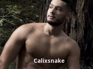 Calixsnake