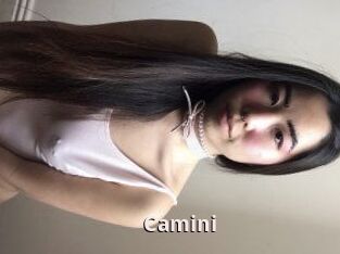 Camini