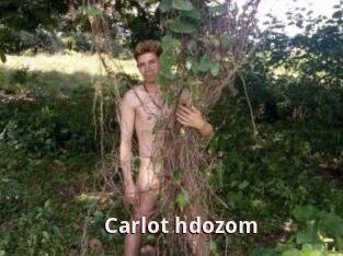 Carlot_hdozom