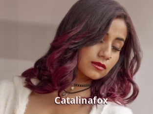 Catalinafox