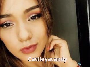 Cattleyacandy