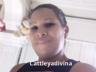 Cattleyadivina