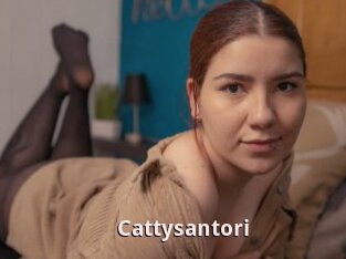 Cattysantori