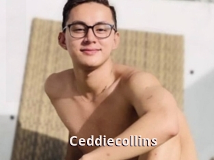 Ceddiecollins