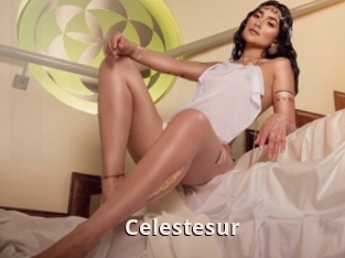 Celestesur
