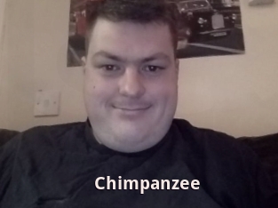 Chimpanzee