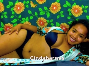 Cindybarnes