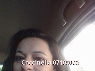 Coccinella-07105003