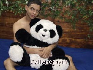 Collegegaym
