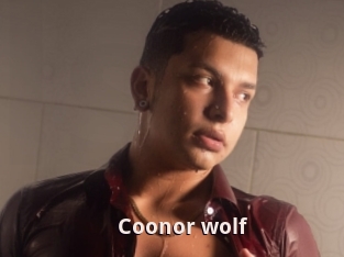 Coonor_wolf