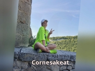 Cornesakeat