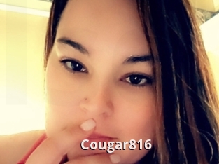 Cougar816