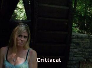 Crittacat